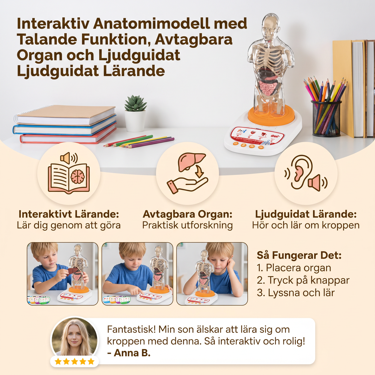 Interaktiv Anatomimodell med Talande Funktion, Avtagbara Organ och Ljudguidat Lärande