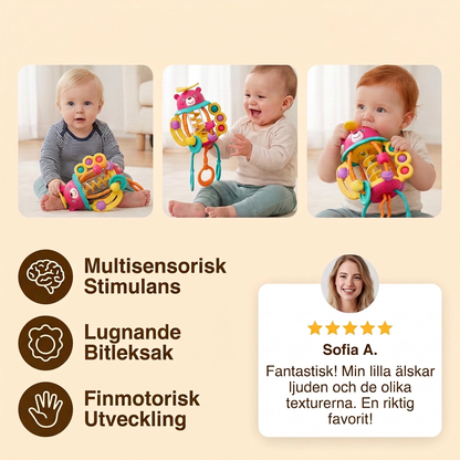 3-i-1 multisensorisk bitleksak med dragsnören, skallra och regnljud för bebisar
