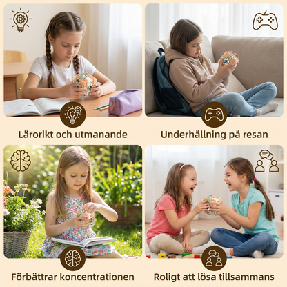 3D Labyrint-Pusselkub