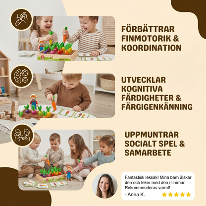 Montessori Bondgårdsleksak